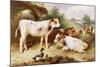 Calves and Poultry by a Byre-Walter Hunt-Mounted Giclee Print