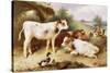 Calves and Poultry by a Byre-Walter Hunt-Stretched Canvas