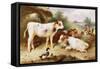 Calves and Poultry by a Byre-Walter Hunt-Framed Stretched Canvas