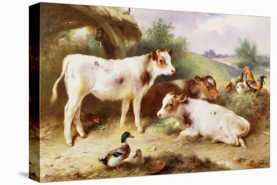 Calves and Poultry by a Byre-Walter Hunt-Stretched Canvas