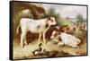 Calves and Poultry by a Byre-Walter Hunt-Framed Stretched Canvas