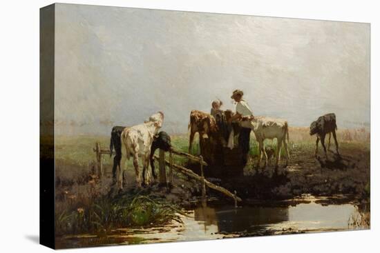 Calves at a Trough-Willem Maris-Stretched Canvas