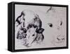 Calves, Gt Garnetts II-Brenda Brin Booker-Framed Stretched Canvas