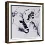 Calves, Gt Garnetts II-Brenda Brin Booker-Framed Giclee Print
