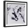 Calves, Gt Garnetts II-Brenda Brin Booker-Framed Giclee Print