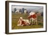 Calves in a Meadow (Oil on Millboard)-Briton Riviere-Framed Giclee Print