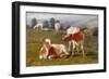Calves in a Meadow (Oil on Millboard)-Briton Riviere-Framed Giclee Print