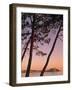 Calvi, Corsica, France-Doug Pearson-Framed Photographic Print