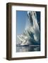 Calving Iceberg in Disko Bay in Greenland-null-Framed Photographic Print