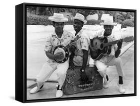 Calypso Band Members, C.1965-null-Framed Stretched Canvas