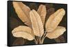 Calypso Leaves I-Paul Brent-Framed Stretched Canvas