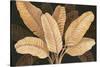 Calypso Leaves I-Paul Brent-Stretched Canvas