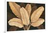 Calypso Leaves I-Paul Brent-Framed Art Print