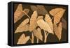 Calypso Leaves II-Paul Brent-Framed Stretched Canvas