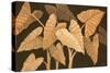 Calypso Leaves II-Paul Brent-Stretched Canvas