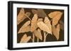 Calypso Leaves II-Paul Brent-Framed Art Print