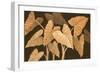 Calypso Leaves II-Paul Brent-Framed Art Print