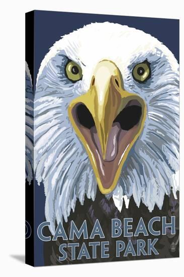 Cama Beach State Park, Washington - Eagle Up Close-Lantern Press-Stretched Canvas