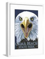 Cama Beach State Park, Washington - Eagle Up Close-Lantern Press-Framed Art Print