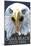 Cama Beach State Park, Washington - Eagle Up Close-Lantern Press-Mounted Art Print