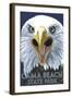 Cama Beach State Park, Washington - Eagle Up Close-Lantern Press-Framed Art Print