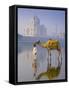 Camal and Driver, Taj Mahal, Agra, Uttar Pradesh, India-Doug Pearson-Framed Stretched Canvas