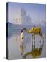 Camal and Driver, Taj Mahal, Agra, Uttar Pradesh, India-Doug Pearson-Stretched Canvas