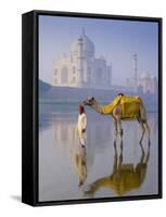 Camal and Driver, Taj Mahal, Agra, Uttar Pradesh, India-Doug Pearson-Framed Stretched Canvas