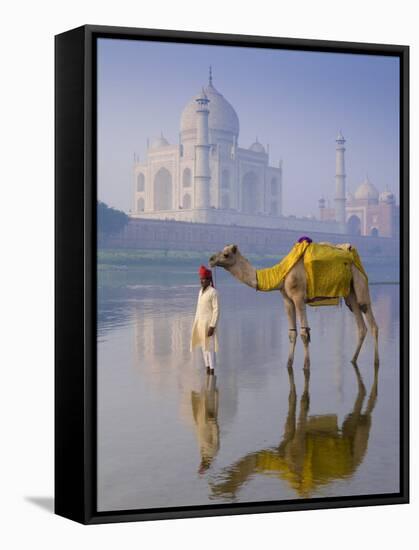 Camal and Driver, Taj Mahal, Agra, Uttar Pradesh, India-Doug Pearson-Framed Stretched Canvas