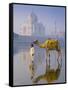 Camal and Driver, Taj Mahal, Agra, Uttar Pradesh, India-Doug Pearson-Framed Stretched Canvas