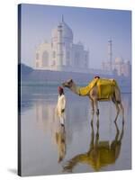 Camal and Driver, Taj Mahal, Agra, Uttar Pradesh, India-Doug Pearson-Stretched Canvas
