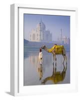 Camal and Driver, Taj Mahal, Agra, Uttar Pradesh, India-Doug Pearson-Framed Photographic Print