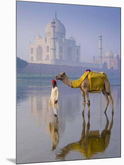 Camal and Driver, Taj Mahal, Agra, Uttar Pradesh, India-Doug Pearson-Mounted Photographic Print