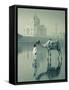 Camal and Driver, Taj Mahal, Agra, Uttar Pradesh, India-Doug Pearson-Framed Stretched Canvas