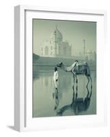 Camal and Driver, Taj Mahal, Agra, Uttar Pradesh, India-Doug Pearson-Framed Photographic Print