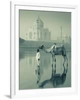 Camal and Driver, Taj Mahal, Agra, Uttar Pradesh, India-Doug Pearson-Framed Photographic Print