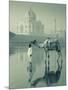 Camal and Driver, Taj Mahal, Agra, Uttar Pradesh, India-Doug Pearson-Mounted Photographic Print