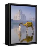 Camal and Driver, Taj Mahal, Agra, Uttar Pradesh, India-Doug Pearson-Framed Stretched Canvas