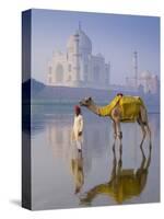 Camal and Driver, Taj Mahal, Agra, Uttar Pradesh, India-Doug Pearson-Stretched Canvas