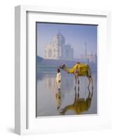 Camal and Driver, Taj Mahal, Agra, Uttar Pradesh, India-Doug Pearson-Framed Photographic Print