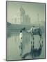 Camal and Driver, Taj Mahal, Agra, Uttar Pradesh, India-Doug Pearson-Mounted Photographic Print