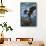 Camano Island, Washington - Bald Eagle and Chicks-Lantern Press-Art Print displayed on a wall