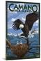 Camano Island, Washington - Bald Eagle and Chicks-Lantern Press-Mounted Art Print