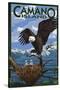 Camano Island, Washington - Bald Eagle and Chicks-Lantern Press-Stretched Canvas