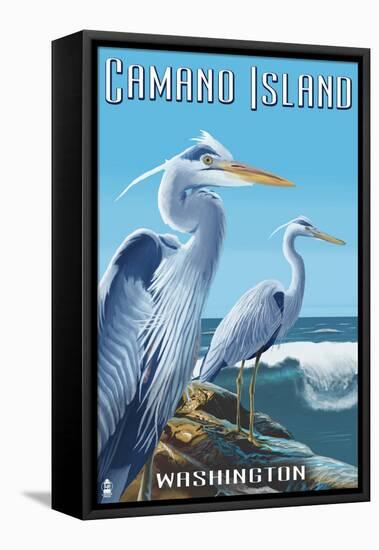 Camano Island, Washington - Blue Heron-Lantern Press-Framed Stretched Canvas