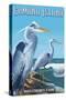 Camano Island, Washington - Blue Heron-Lantern Press-Stretched Canvas