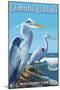 Camano Island, Washington - Blue Heron-Lantern Press-Mounted Art Print