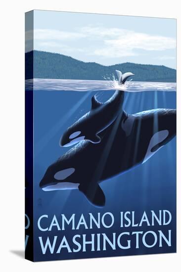 Camano Island, Washington - Orca and Calf-Lantern Press-Stretched Canvas