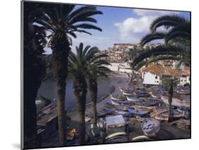Camara De Lobos, Madeira, Portugal, Europe-Jennifer Fry-Mounted Photographic Print