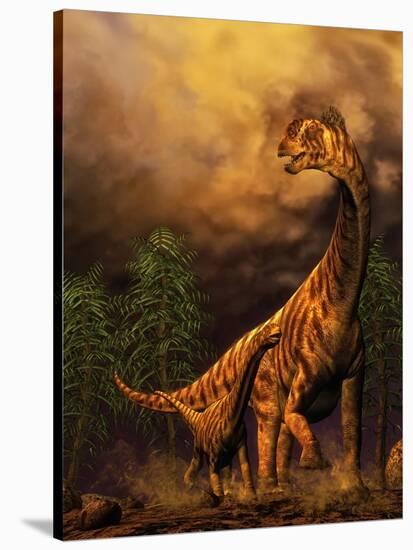 Camarasaurus Adult and Offspring-null-Stretched Canvas